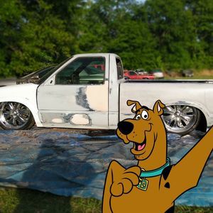 Meet your Posher, Ronnie